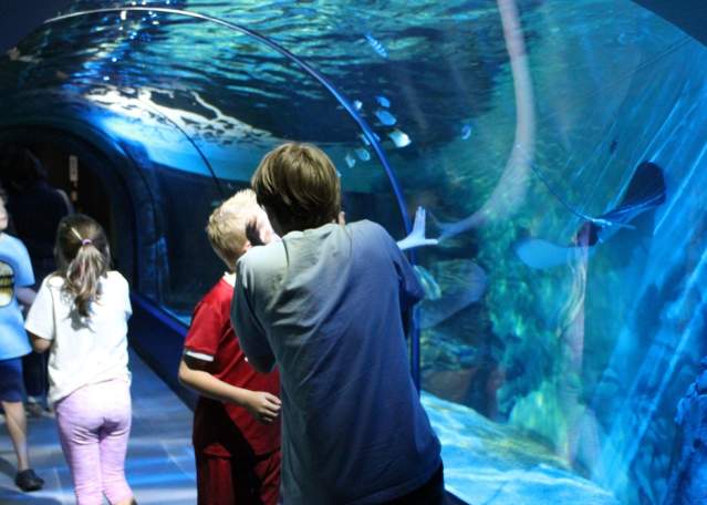 Exploris Aquarium & Seal Sanctuary