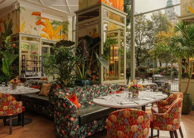 The Ivy Belfast Brasserie