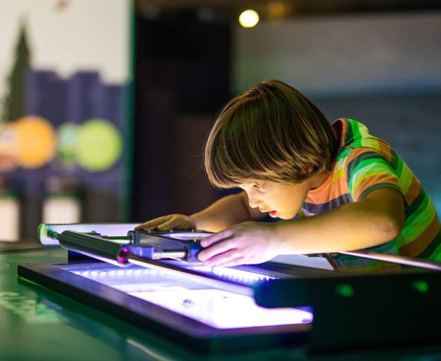 Top 10 Family Fun Attractions in Belfast