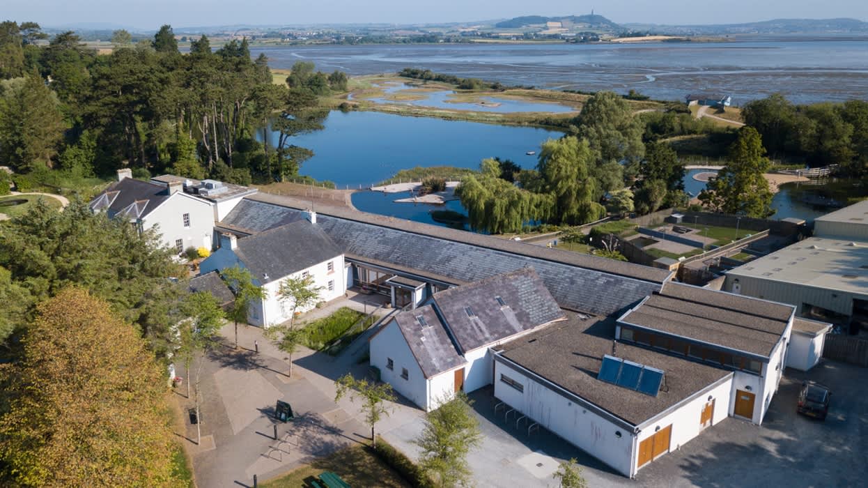 WWT Castle Espie Wetland Centre