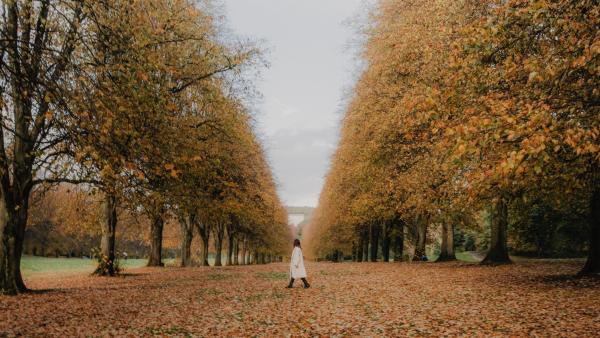 Woman walking through brown leaves that have fallen from the trees at Stormont Estate.