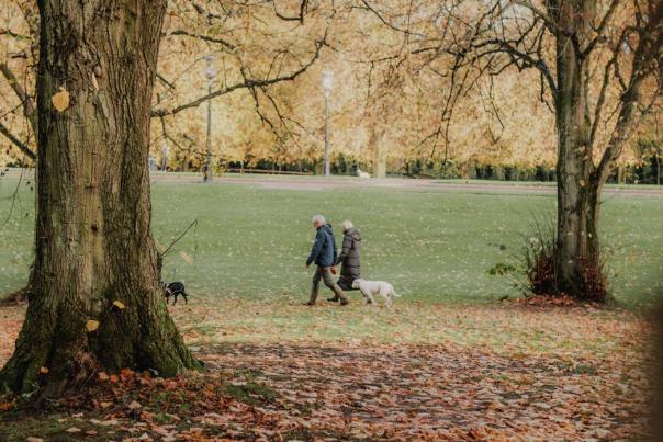 Couple walking through Stormont Estate with their dogs in Autumn