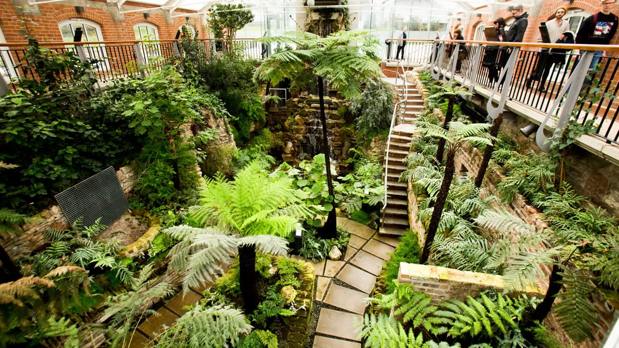 The Tropical Ravine at Botanic Gardens