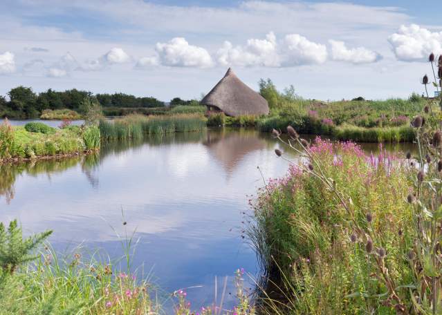 Castle Espie Crannog