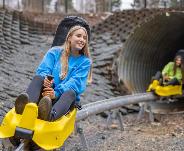 Colin-Glen-Forest-Park-Aline-Coaster