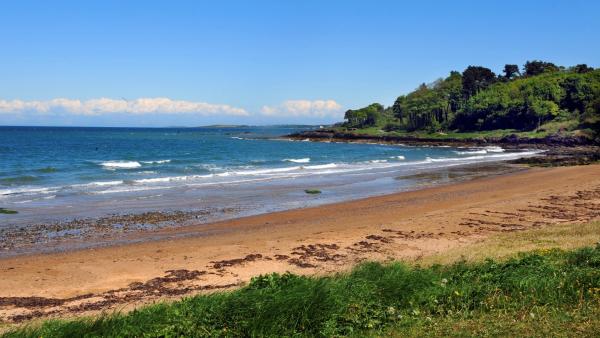 The Beach at Crawfordsburn Country Park