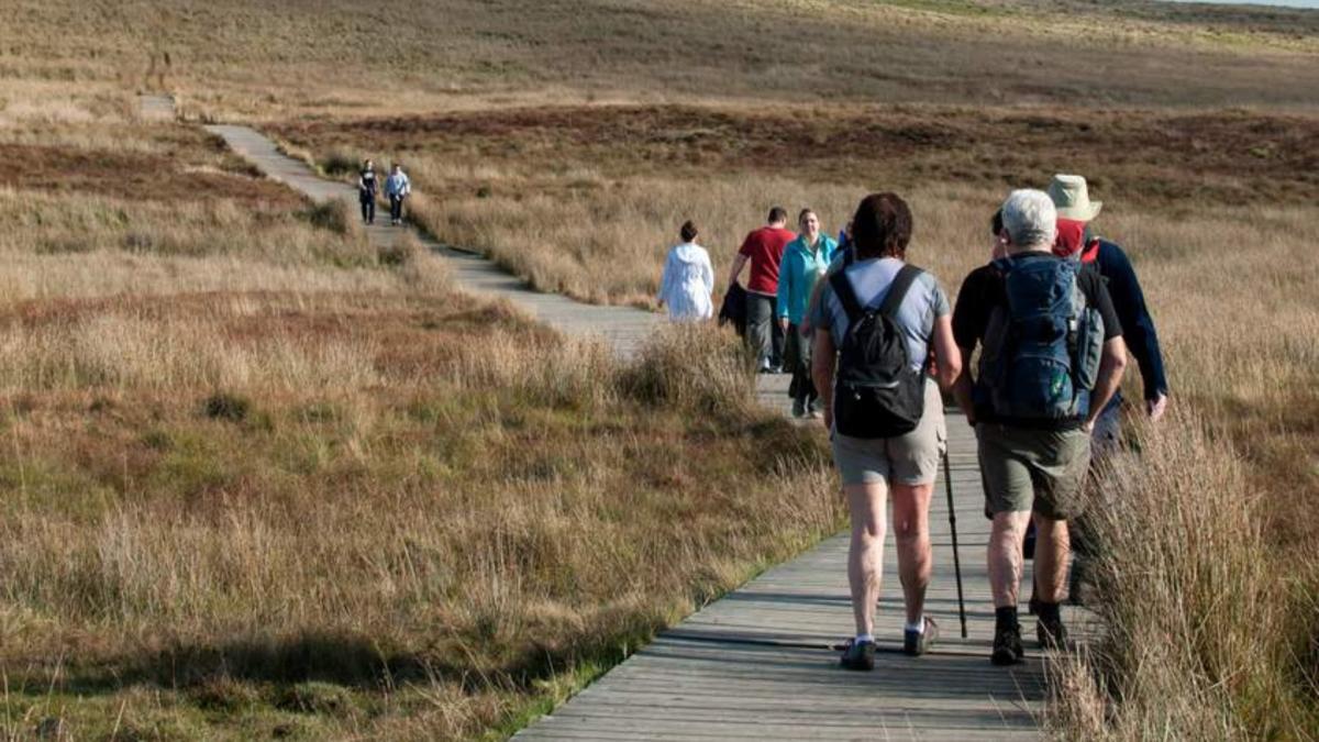 Divis-and-Black-Mountain