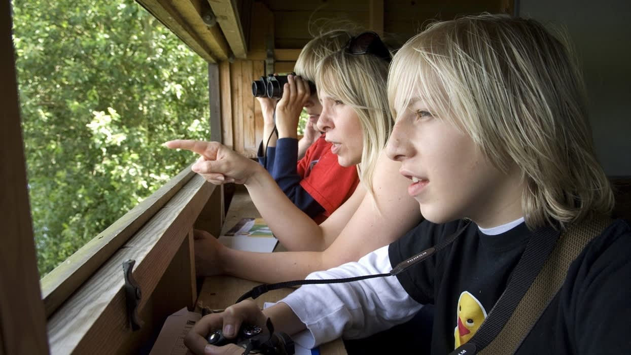 Belfast’s Window on Wildlife