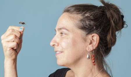 Metamorphosis: How Insects are Changing our World