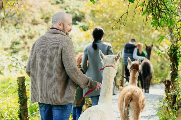 Ballyburren Outdoor Escapes