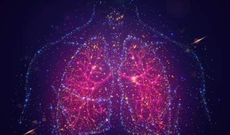 An Anatomical Workshop on Respiration and Deglutition (Breathing and Swallowing)