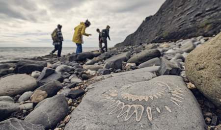 Pick Up A Pebble, Find A Fossil