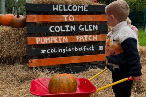 Colin Glen Pumpkin Patch