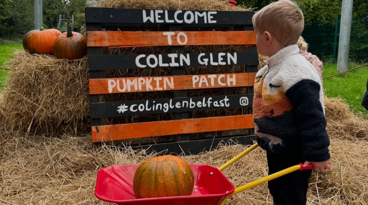 Best Pumpkin Patches in Belfast and Beyond