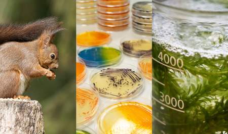 Queen's Biology Showcase