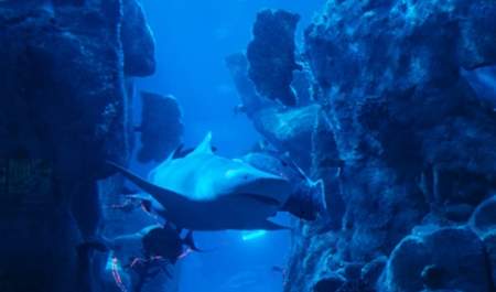 W5 on Tour: The Hunt – Extreme Existence | NISF Roadshow Bangor