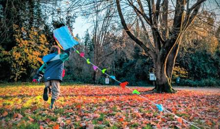 The Great Weather Experiment