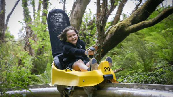 Boy on Alpine Coaster at Colin Glen