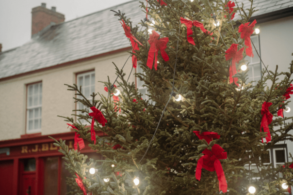 Christmas Tree decorated with red bows and lights at Ulster American Folk Park
